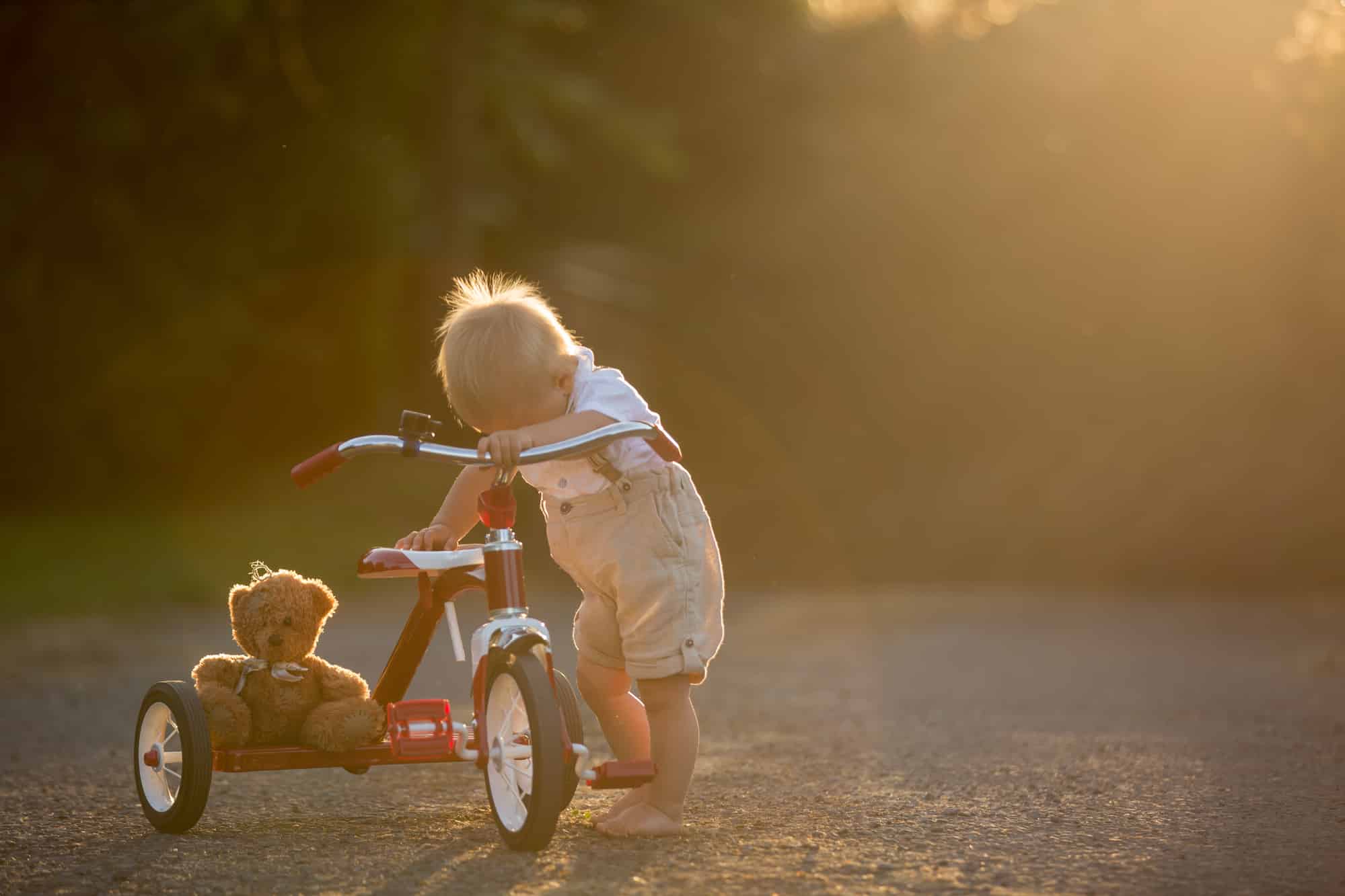 Cute toddler child, boy, playing with tricycle in backyard, kid riding bike on sunset