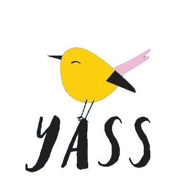 Yass-Birdie-transparent